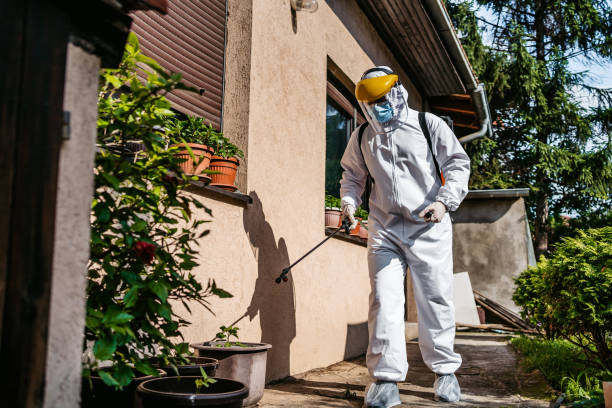 Best Residential Pest Control  in Pomona, NY