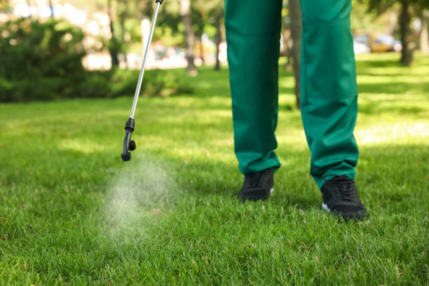 Best Pest Prevention Services  in Pomona, NY