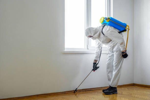 Best Affordable Pest Control Services  in Pomona, NY