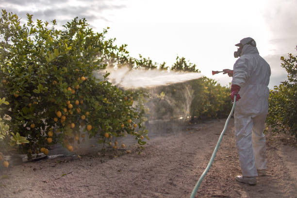 Best Emergency Pest Control  in Pomona, NY