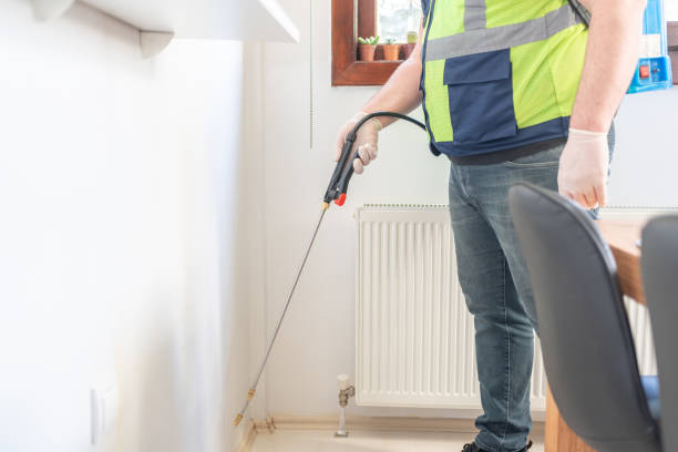 Best Pest Control Near Me  in Pomona, NY