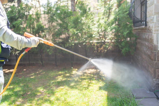 Best Bird Control  in Pomona, NY