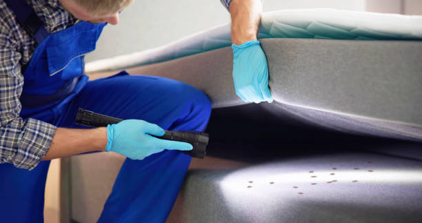 Best Cockroach Control Services  in Pomona, NY