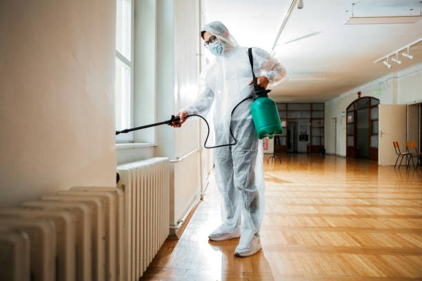 Trusted Pomona, NY Pest Control Experts