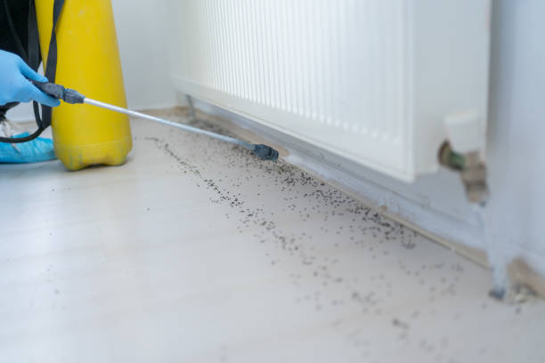 Best Wildlife Control Services  in Pomona, NY